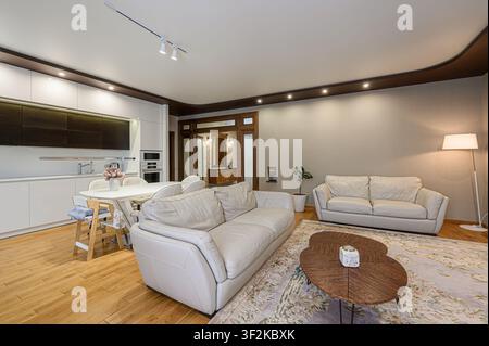 spazio abitativo moderno ben illuminato con divani in pelle bianca, un tavolino da caffè in legno e un concetto di cucina aperta Foto Stock