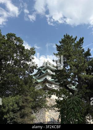 5 agosto 2025, Nagoya, Giappone – Vista a bassa angolazione del donjon iconico del castello di Nagoya con il tetto verde e gli shachihoko dorati, incorniciato da rigogliosi alberi estivi contro un cielo blu. Foto Stock