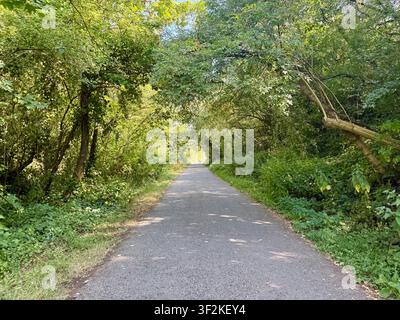 Sentiero di ghiaia alberato sulla ciclabile da Bristol a Bath Foto Stock