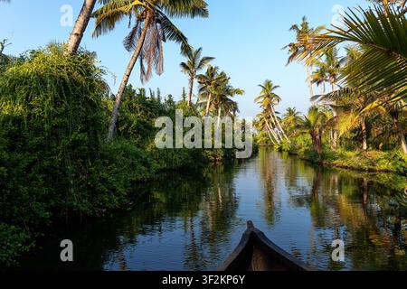 Prima di una barca tradizionale in legno che scivola attraverso stretti canali circondati da lussureggiante vegetazione tropicale nei backwater del Kerala, in India. Foto Stock