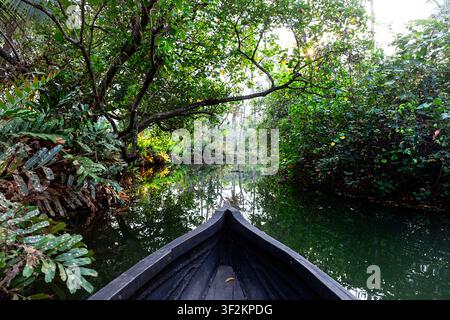 Prima di una barca tradizionale in legno che scivola attraverso stretti canali circondati da lussureggiante vegetazione tropicale nei backwater del Kerala, in India. Foto Stock