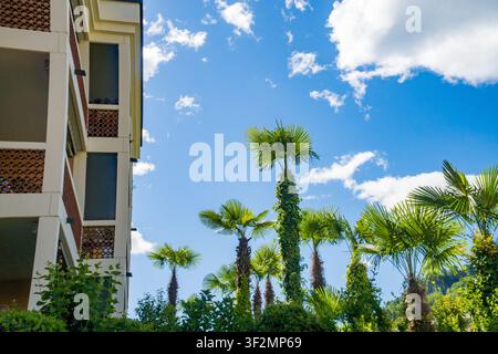 Alte palme che crescono accanto a un edificio residenziale con balconi, cielo blu con nuvole sullo sfondo, Caslano, Ticino, Svizzera. Alta qualità p Foto Stock