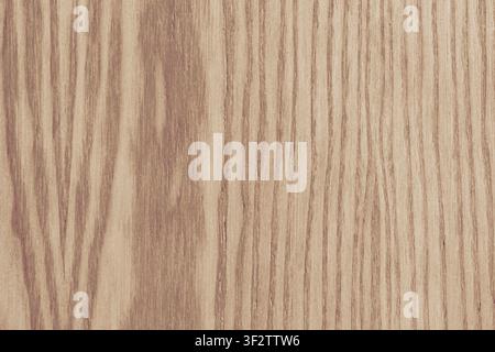 Vista orizzontale ravvicinata dall'alto di una texture di legno marrone chiaro con motivi naturali di venature di quercia e linee verticali del legno per uno sfondo minimalista di Foto Stock