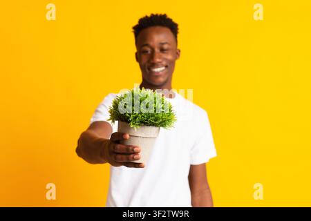 Bel ragazzo africano sorridente che tiene in mano la pianta verde Foto Stock