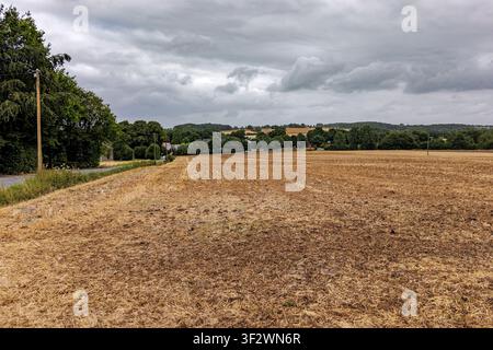 Campo agricolo dorato raccolto con stoppie sotto un cielo nuvoloso e drammatico a Coesfeld, Germania Foto Stock