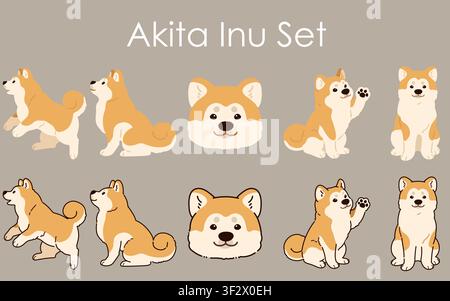 Simpatico set vettoriale di cani Akita Inu con diverse pose ed espressioni facciali. Illustrazione Vettoriale