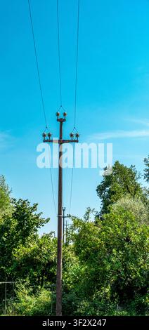 Palo di servizio in legno con linee elettriche aeree nella campagna del nord Italia Foto Stock