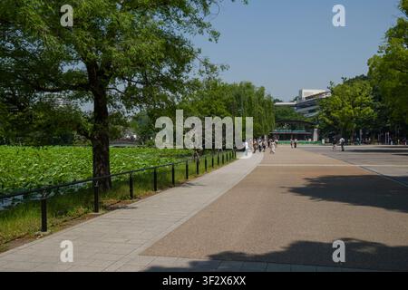 Il parco Ueno, un vasto spazio pubblico a Tokyo, offre una tranquilla fuga con il suo pittoresco stagno Shinobazu. Un sentiero lastricato si snoda lungo l’acqua Foto Stock