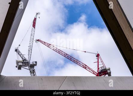 Le gru di torre in ascesa dominano lo skyline sopra il Crossrail Place di Greenwich, svettando sopra l'architettura urbana del distretto londinese. Foto Stock