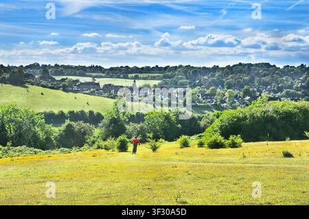 Farthing Downs, parte del sud di Londra Downs Riserva Naturale Nazionale, comprendente 121 acri di campagna lungo il confine del Surrey e Croydon, Regno Unito Foto Stock