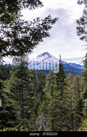 Vista frontale del Monte Hood lontano tra uno schermo di alberi Foto Stock