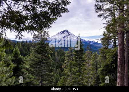Vista paesaggistica del Monte Hood lontano tra uno schermo di alberi Foto Stock