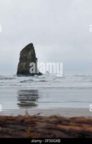 Una scogliera solitaria che si erge dalla sabbia bagnata con la bassa marea sotto un cielo invernale nuvoloso, Cannon Beach, costa dell'Oregon, Stati Uniti. Foto Stock