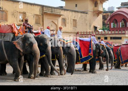 Elefanti decorati che trasportano turisti all'Amber Fort, Jaipur, Rajasthan, India, con mahout in turbanti tradizionali e tessuti colorati Foto Stock