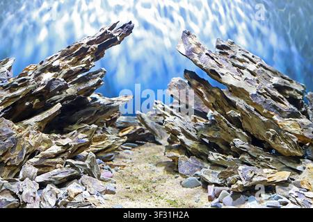 Pietre drago a forma di arco simmetriche sono disposte in un acquario, con texture di stratificazione chiare. Accoppiate con un substrato di sabbia fine e un gr Foto Stock