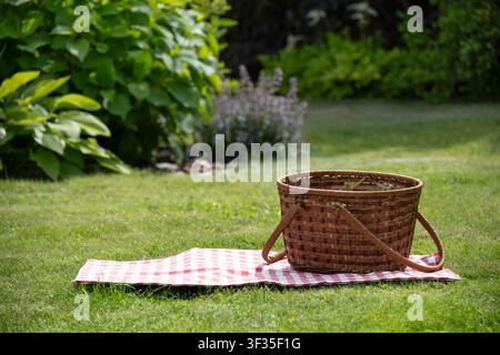 Cesto da picnic in vimini vuoto in piedi su una coperta da picnic su prato verde in giardino soleggiato. Concetto di svago all'aperto. Foto Stock