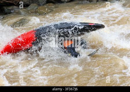 Un canottiere fluviale che ribalta nelle acque bianche turbolente e marroni durante un rapido con spruzzi e movimento, scena di azione sportiva avventurosa all'aperto Foto Stock