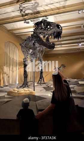 05.05.20206 – Berlino, Germania. Donna adulta e bambino che osservano una grande esposizione di scheletro di dinosauro al museo di storia naturale Foto Stock