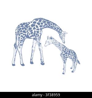 Due giraffe in piedi fianco a fianco. Illustrazione vettoriale disegnata a mano in stile vintage con tratteggio dettagliato. Adatta per biglietti di auguri, stampe, pos Illustrazione Vettoriale