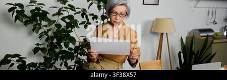 Donna anziana con capelli grigi attivamente impegnata nel lavoro a distanza nel suo ufficio domestico, banner Foto Stock