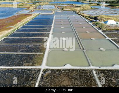 Vista aerea delle tradizionali saline di Guerande, Bretagna, Francia Foto Stock