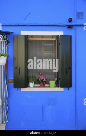 Tre vasi di fiori su un davanzale con persiane verdi davanti a un muro blu chiaro, muro blu della casa con finestra e decorazione floreale, hou colorato Foto Stock