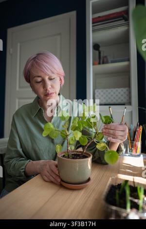 Donna matura tranquilla amante delle piante, custode esamina la salute della pianta d'appartamento Pilea peperomioides in vaso Foto Stock