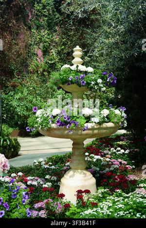 Fontana in pietra a due livelli decorata con fiori bianchi e viola, aiuola fiorita rigogliosa e colorata, giardino di serra interno Foto Stock