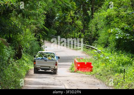 Un pick-up carico di frutta e piante tropicali che percorre una stretta strada rurale circondata da una foresta verde, la luce del sole che filtra attraverso gli alberi Foto Stock