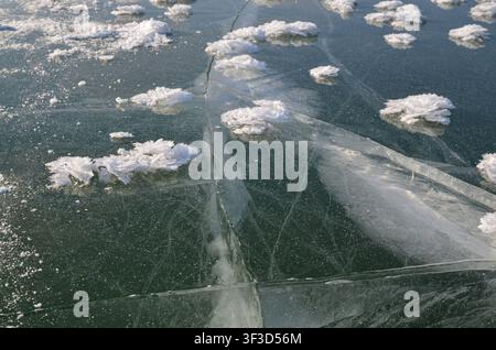 Formazioni di fiori di ghiaccio sparse sulla superficie di un lago ghiacciato. Texture invernale unica con strutture di ghiaccio cristallino su ghiaccio trasparente. Foto Stock