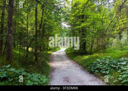 Famiglia di escursionisti che camminano su un sentiero escursionistico nel Parco Nazionale del Triglav, valle di Vrata, Alpi Giulie, Slovenia Foto Stock