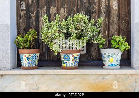 Piante ornamentali in vaso si trovano su un davanzale di marmo davanti a una cornice di finestra in legno rustico via Roma, Palazza Adriano, Sicilia, Italia Foto Stock