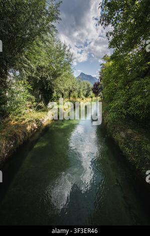 L’Almkanal come spazio ricreativo locale. Gli amanti dell’avventura sfruttano l’onda di surf, mentre ciclisti e passeggiatanti utilizzano i sentieri lungo il canale per raggiungere dal centro storico il sud di Salisburgo. Nell’immagine: i salici pollardati lungo il sentiero. Scattato il 23.07.2026. // The Almkanal as a local recreation area. Adventurers use the surf wave, while cyclists and walkers use the paths along the canal to travel from the old town to the south of Salzburg. Pictured: The pollarded willows along the path. Taken on July 23, 2026. Credit: APA-Images/Alamy Live News Foto Stock
