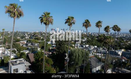 Los Angeles, California, USA - 18 giugno 2026: le palme del quartiere Silver Lake incorniciano lo skyline del centro città. Foto Stock