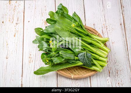 Broccolo cinese Gai Lan verde fresco, verdura a foglia fiorita Foto Stock