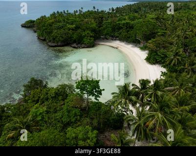 Caletta sabbiosa curva delimitata da una fitta foresta verde incontra acque turchesi poco profonde. Camotes, Filippine. Foto Stock