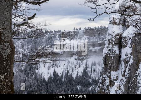 Paesaggio invernale al Creux du Van con scogliere innevate e foresta ghiacciata nell'occidente della Svizzera. Foto Stock