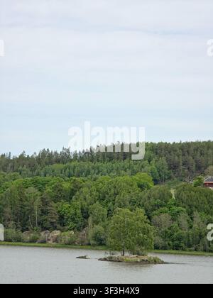 Piccolo isolotto roccioso con alberi in un lago calmo circondato da una foresta verde sotto un cielo nuvoloso. Paesaggio naturale tranquillo con spazio per il testo. Foto Stock