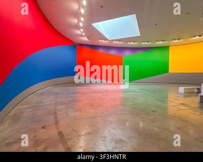Installazione artistica contemporanea colorata esposta all'interno del Museo Guggenheim di Bilbao a Bilbao, in Spagna. Foto Stock