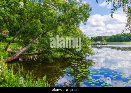Bella vista di un salice inclinato sopra un lago calmo con ninfee e un molo per barche davanti al bosco. Svezia. Foto Stock