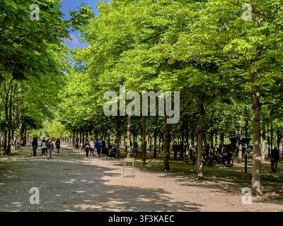 Un viale alberato nel Jardin du Luxembourg, un grande parco pubblico situato nel 6° arrondissement di Parigi, Francia Foto Stock