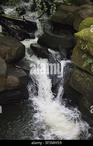 Prima piano dell'acqua che scorre velocemente del fiume Spodden che cade lungo i gradini rocciosi e ricoperti di muschio delle cascate di Healey Dell a Rochdale, Regno Unito Foto Stock