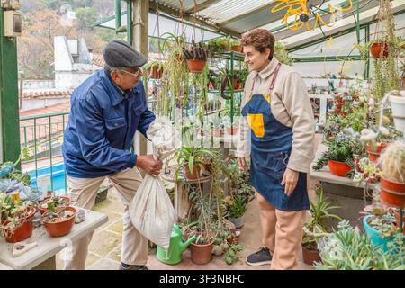 Uomo maturo attivo solleva un sacco pesante di terra per vasi mentre una donna con un grembiule di jeans osserva all'interno della loro serra domestica, con succulente, cactus e c Foto Stock