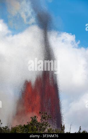 Una fontana di lava calda alta 1770 piedi si erge dal cratere Halemaumau sopra la foresta secca autoctona del deserto di Ka‘u, Parco Nazionale dei Vulcani delle Hawaii Foto Stock