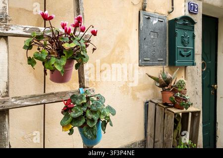 Ciclamini in vaso vivaci e succulente su una scala rustica fuori da una casa, Caltagirone, Sicilia, Italia Foto Stock