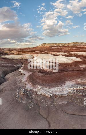 Paesaggio drammatico delle Badlands nel sud-ovest americano, USA, con formazioni di arenaria stratificate, creste erose e texture desertiche sotto un vasto cielo Foto Stock