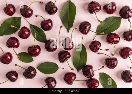 Ciliegie fresche e mature con gocce d'acqua scintillanti sono disposte artisticamente su uno sfondo rosa. Accompagnato da foglie verdi vibranti, questo layout mette in mostra Foto Stock