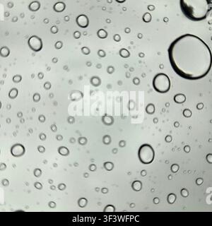Questa foto mostra una vista dall'interno di un'auto che guarda verso l'alto attraverso il tetto apribile durante una giornata di pioggia. Le gocce di pioggia sono sparse sulla superficie di vetro. Foto Stock