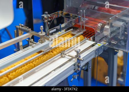 Blocchi di noodles istantanei essiccati che avanzano su un nastro trasportatore attraverso una macchina di confezionamento automatizzata in un moderno stabilimento di produzione alimentare. Foto Stock