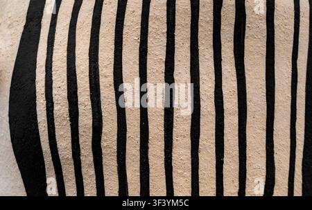 Primo piano di strisce verticali nere dipinte a mano su una superficie ceramica beige strutturata, arte della ceramica minimalista, nessuna persona, motivo astratto Foto Stock